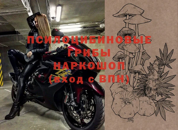 амф Верея