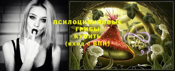spice Верхний Тагил