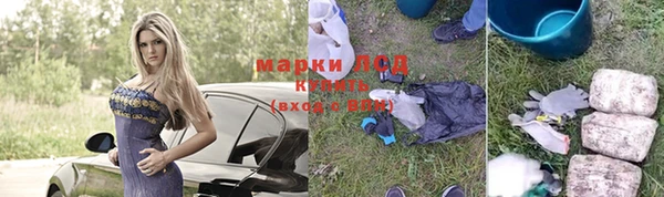 амф Верея