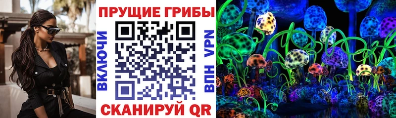 Купить закладки  Нижний Тагил  Галлюциногенные грибы GOLDEN TEACHER 